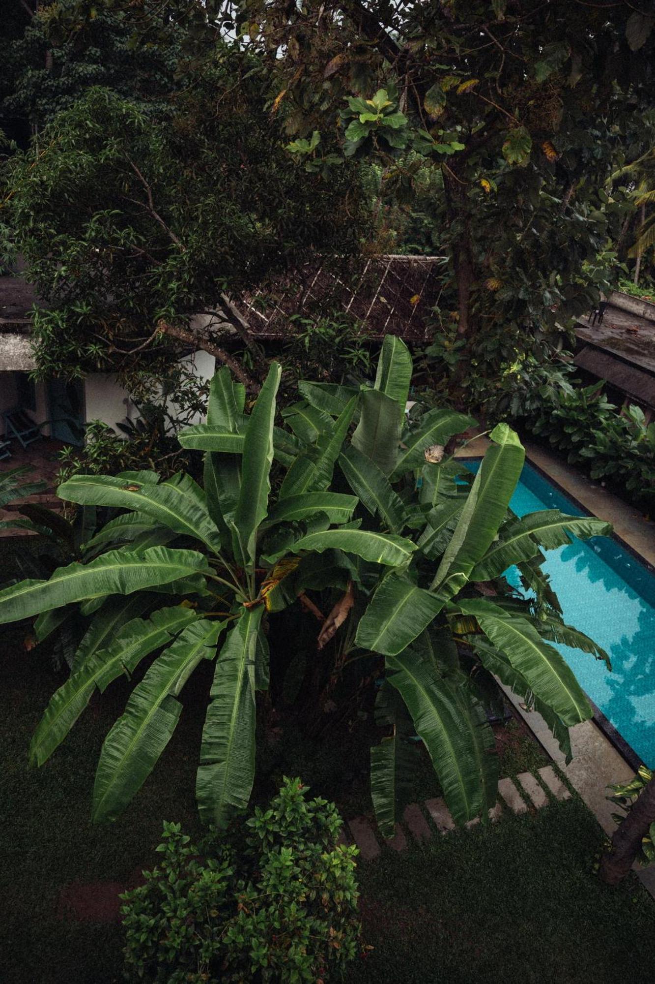 Bed and Breakfast Paddlecult Surf Retreat Varkala Exterior foto